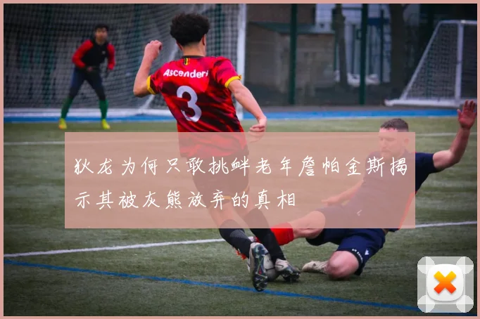 狄龙为何只敢挑衅老年詹帕金斯揭示其被灰熊放弃的真相