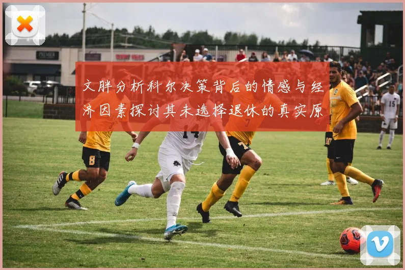 文胖分析科尔决策背后的情感与经济因素探讨其未选择退休的真实原因